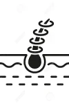 images images